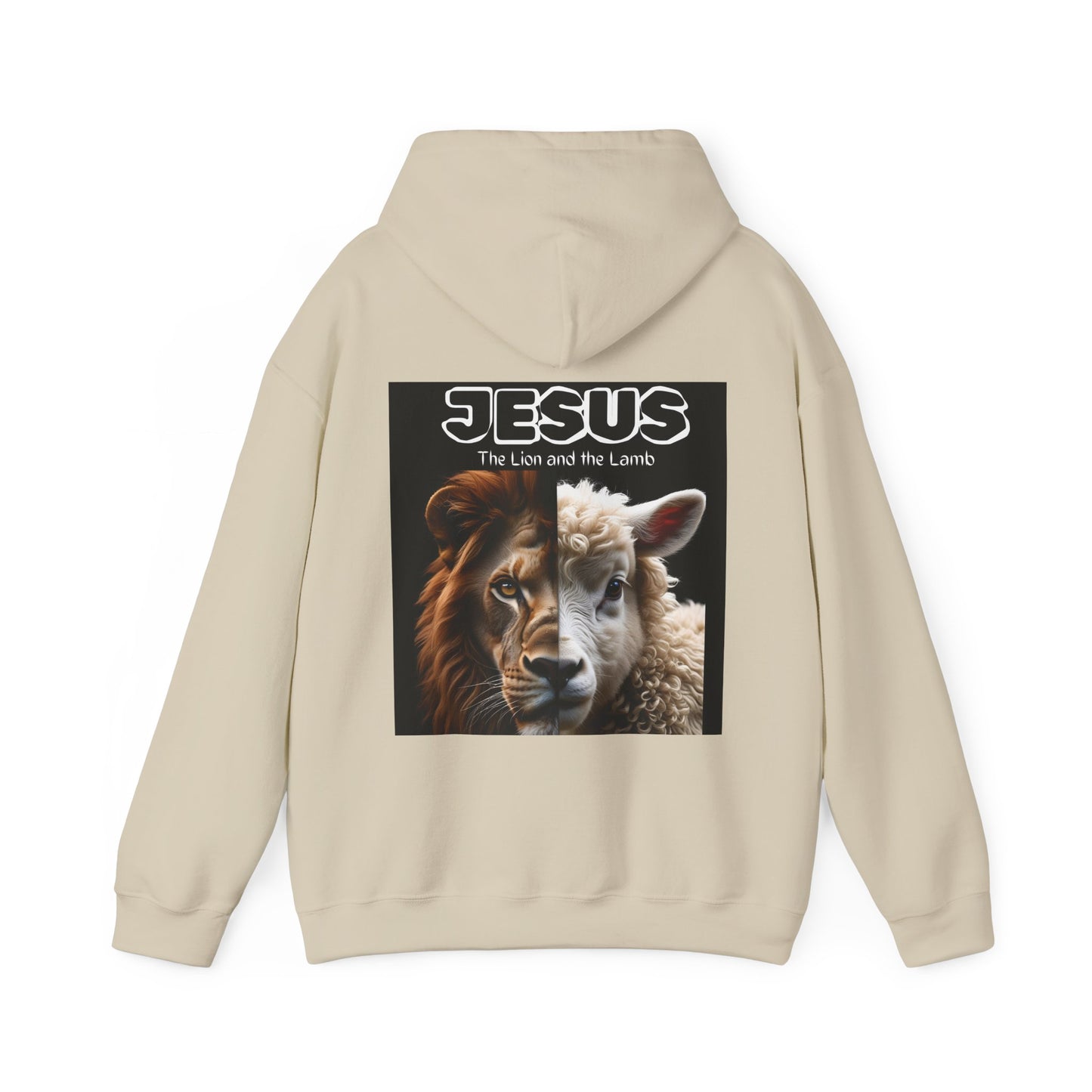 Faith-Inspired Unisex Hoodie, Perfect for Religious Gifts, Everyday Comfort, Christian Apparel, Unique Graphic Sweatshirts