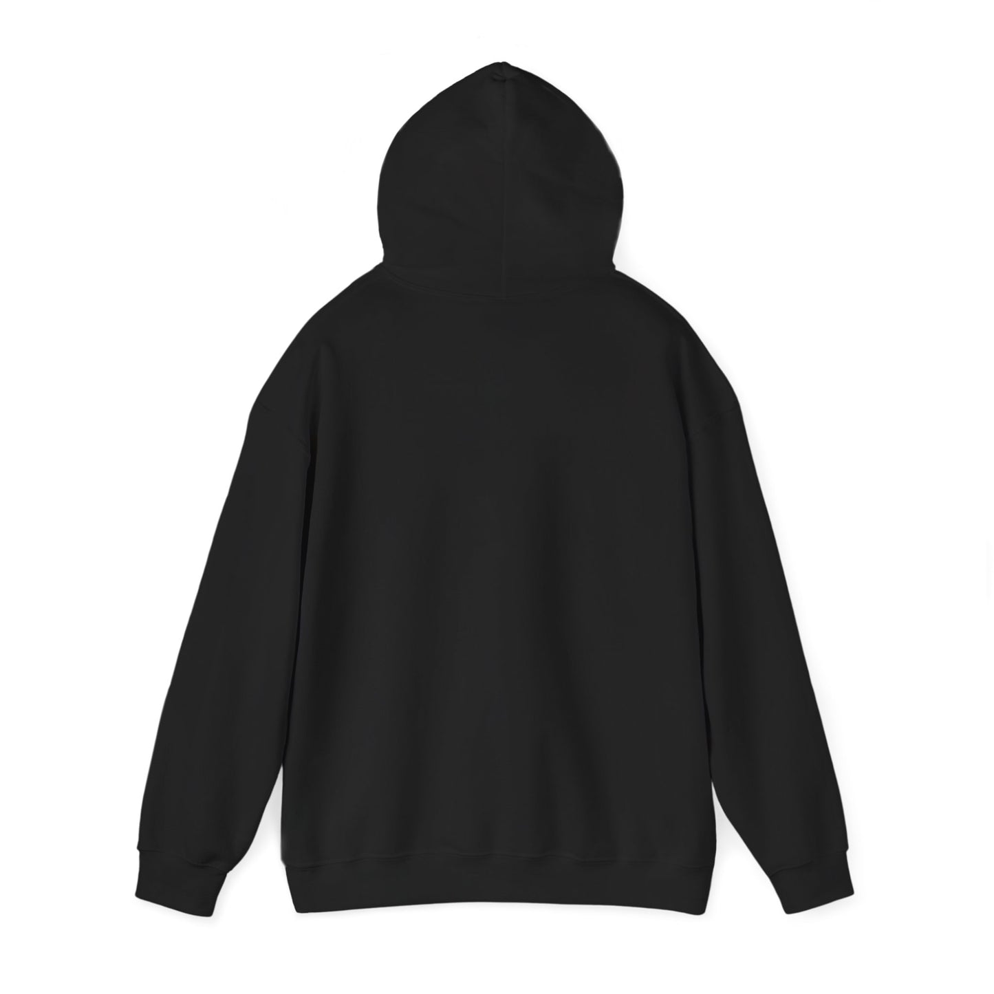 Colorful Jesus is Coming Back Hoodie - Faith-based Fashion, Spiritual Gift, Christian Apparel, Unisex Sweatshirt, Religious Clothing